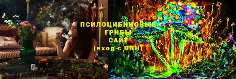 Псилоцибиновые грибы Magic Shrooms  где можно купить   Осташков 